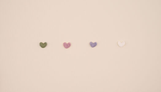 CUORE MICRO RICAMATO