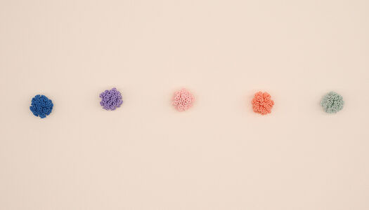 POM PON IN LYCRA 