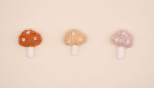 FUNGO CON TESSUTO RICCIOLO 