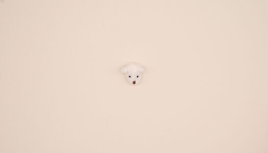 MICRO TESTA DI ORSETTO IMBOTTITO