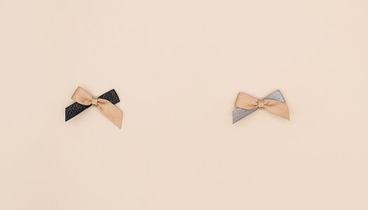 FIOCCO BICOLORE SHINY 