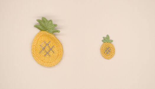 ANANAS RICAMATO A MACCHINA 