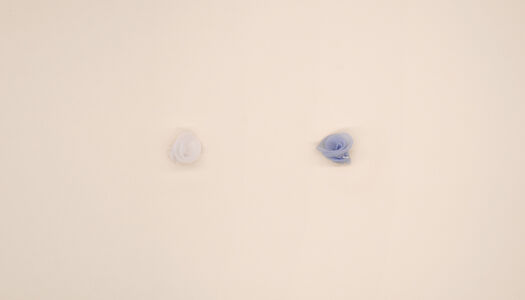 BOCCIOLO FIORE IN ORGANZA