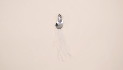 ACCESSORIO IN CRISTALLO CON PAILLETTES E PIUME 