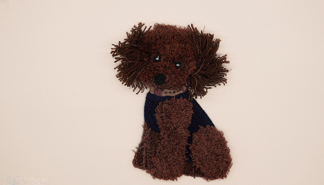 APPLICAZIONE BARBONCINO 