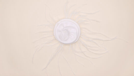 FIORE COCCARDA SATIN CON PIUME