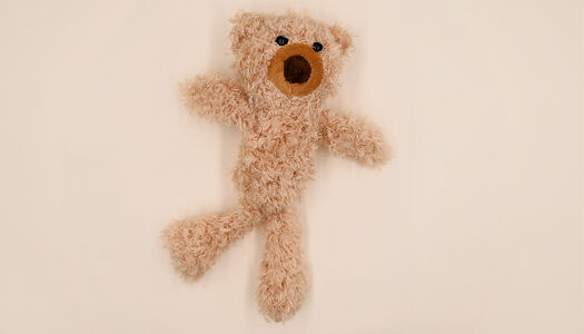 ORSO GRANDE BEIGE PELO RICCIOLO 