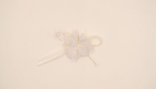 APPLICAZIONE FIOCCO FIORELLINO 