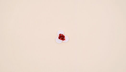 FIORELLINO 2 MACRO PAILLETTES CON DETTAGLI CENTRALI PERLINE E PAILLETTES 