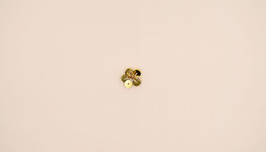 FIORELLINO PAILLETTES PICCOLE CON PISTILLI PERLINE E CANOTTIGLIE 