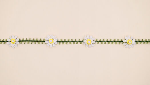 NASTRINO ORGANZA CON MARGHERITE E EPRLINE