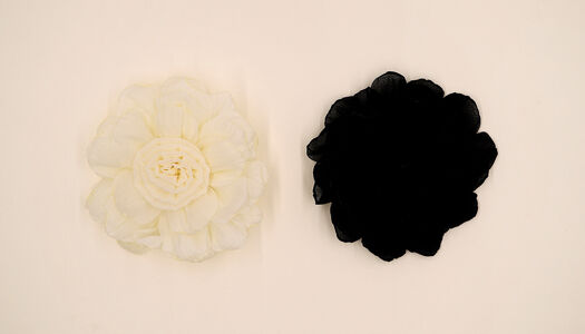 FIORE ORAGANZA STRATI ROSA CENTRALE 