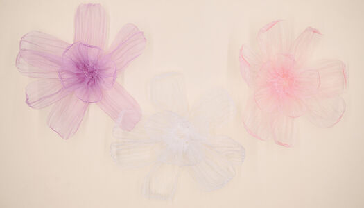 FIORE GRANDE IN ORGANZA - SEMITRASPARENTE