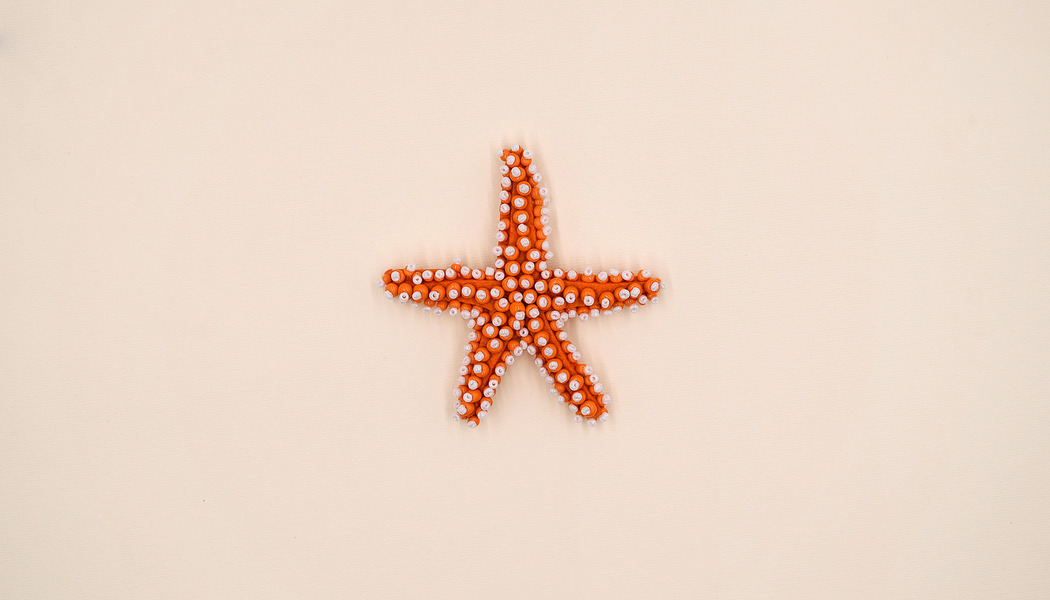 STELLA MARINA RICAMATA IN PERLINE 