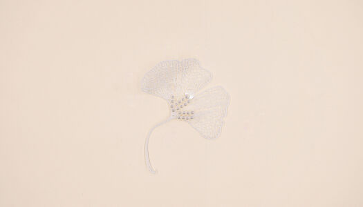 FIOR RETINA CON GAMBO + PAILLETTES E PERLINE 