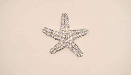 STELLA MARINA CON STRASS E PERLE 